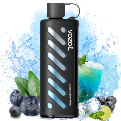 Vozol Gear Shisha 25000 Blue Mojito Goût | Entrepôt UE | Prix en gros Pas  cher