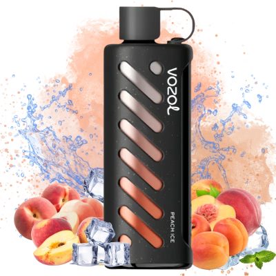 Vozol Gear Shisha 25K Blue Razz Ice Got | Entrept UE | Prix en gros Pas  cher | Vozol Vape