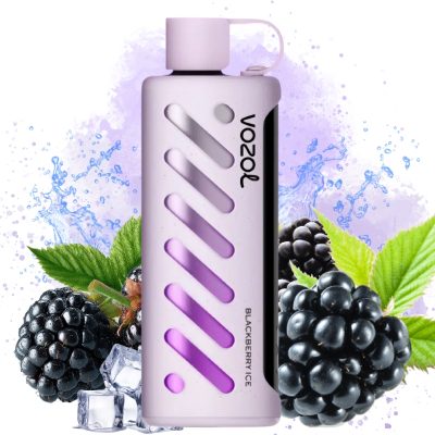 Vozol Gear Shisha 25K Blue Razz Ice Got | Entrept UE | Prix en gros Pas  cher | Vozol Vape