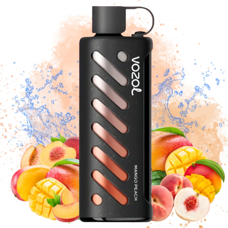 Vozol Gear Shisha 25k Mango Peach got | Entrept UE | Prix en gros Pas  cher | Vozol Vape