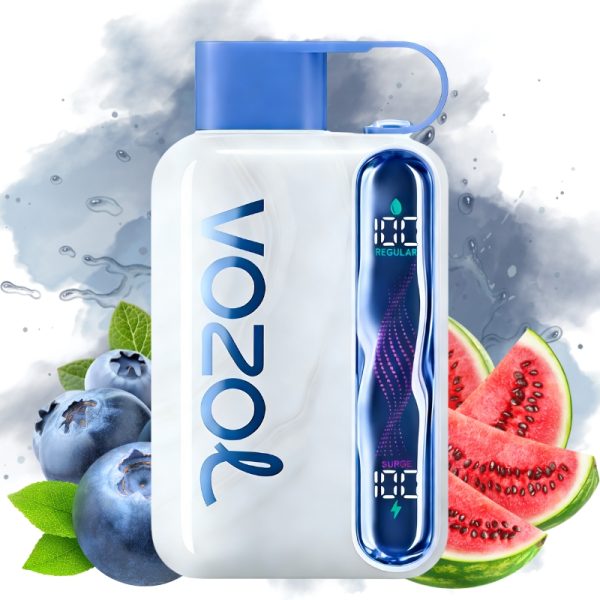 Vozol Star 40K Blueberry Watermelon got | Entrept UE | Prix en gros Pas  cher | Vozol Vape