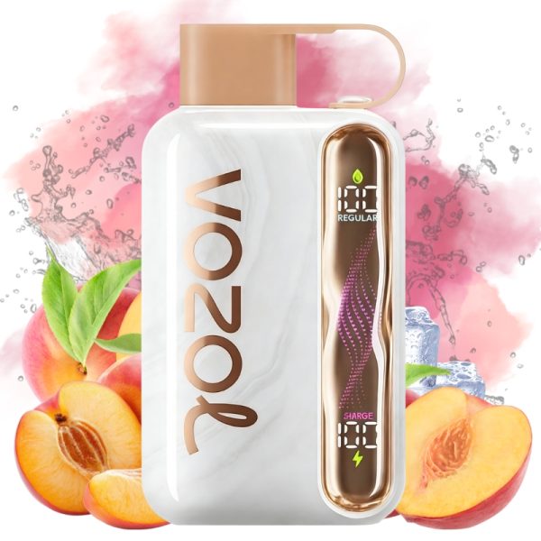 elfbar elfa kaufen Vozol Star 40000 Peach Ice goût | Entrepôt UE | Prix en gros Pas cher