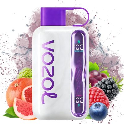 Vozol Star 40000 Blueberry Mint goût | Entrepôt UE | Prix en gros Pas cher 