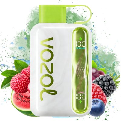 Vozol Star 40000 Blueberry Mint got | Entrept UE | Prix en gros Pas cher  | Vozol Vape